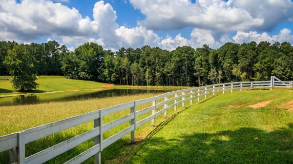 Fence Rail Repair